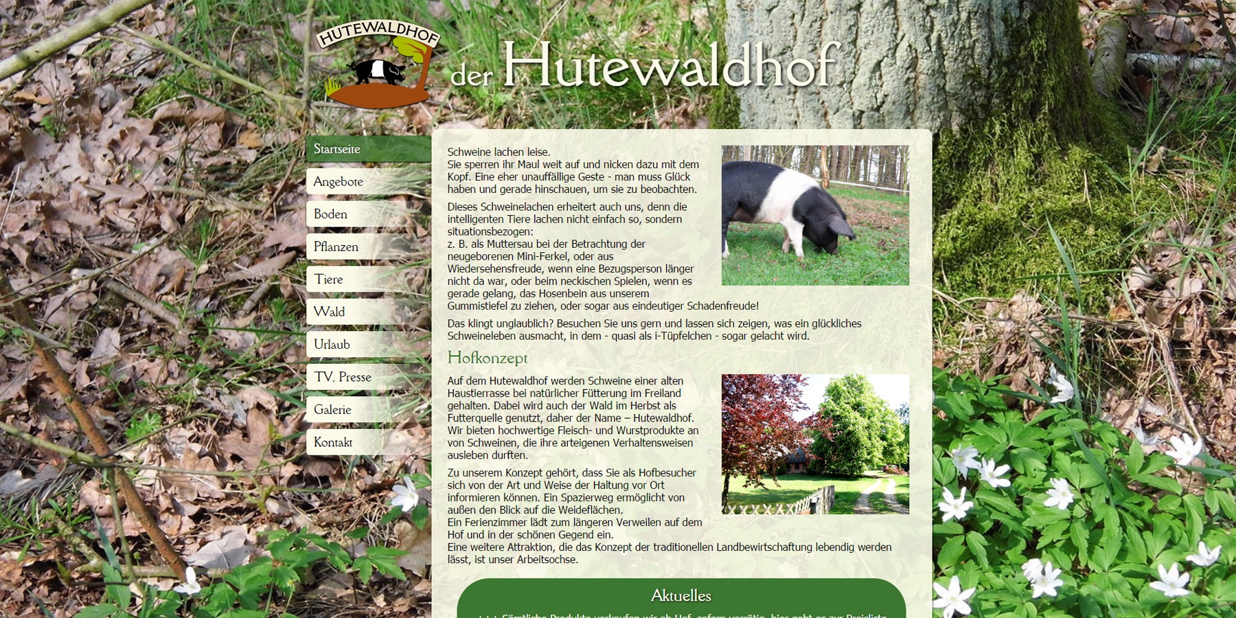 hutewaldhof.de